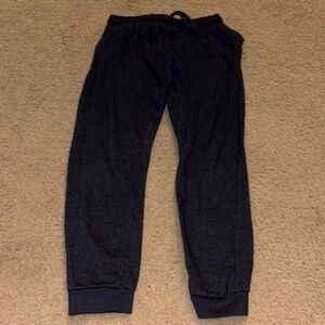 Joe's Jeans Navy Blue Joggers